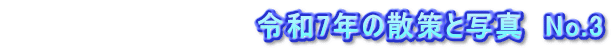 　　　　　　　　　　　　令和7年の散策と写真　No.3