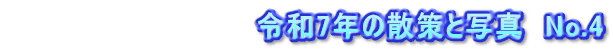 　　　　　　　　　　　　令和7年の散策と写真　No.4