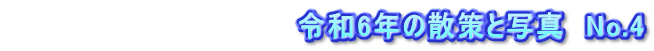 　　　　　　　　　　　　　　令和6年の散策と写真　No.4