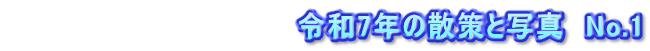 　　　　　　　　　　　　　　令和7年の散策と写真　No.1