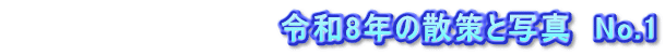 　　　　　　　　　　　　令和8年の散策と写真　No.1