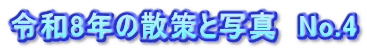 令和8年の散策と写真　No.4